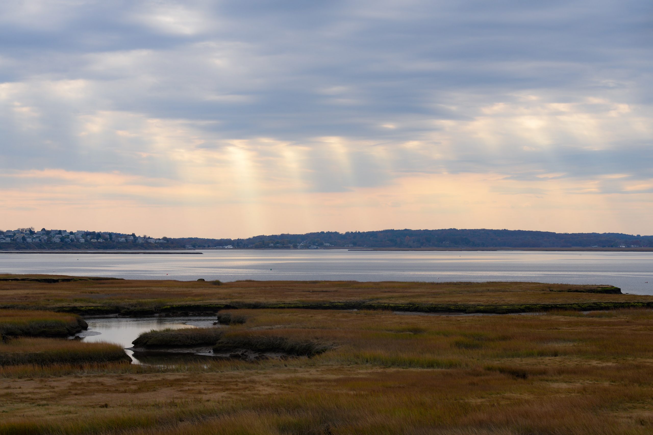 Sunbeams